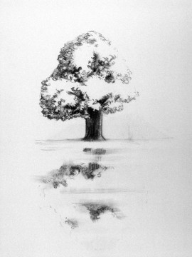 Cécile Ravel - dessin Arbre #1