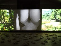 Actéon -Cécile Ravel - installation filmique